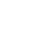 ID Theft icon white